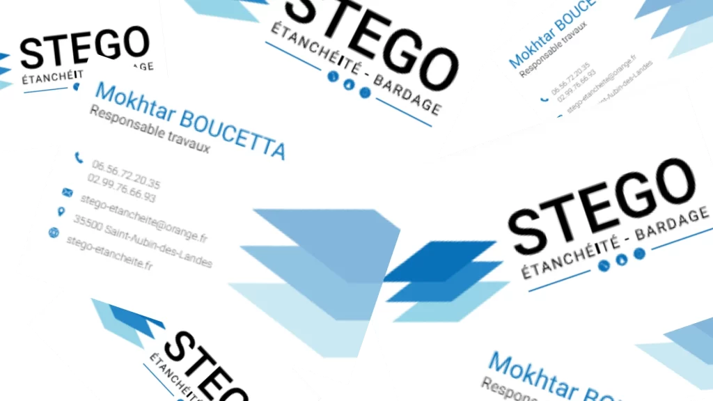 Image de la carte de visite de Stego